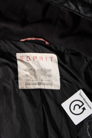 Damenjacke Esprit, Größe L, Farbe Schwarz, Preis € 61,99