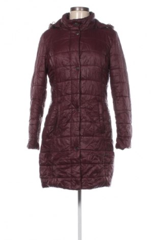 Damenjacke Koton, Größe M, Farbe Lila, Preis 61,99 €