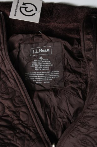 Damenjacke L.L. Bean, Größe XL, Farbe Braun, Preis € 61,99