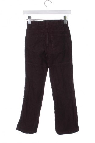 Pantaloni de catifea reiată, pentru copii Alive, Mărime 8-9y/ 134-140 cm, Culoare Maro, Preț 72,99 Lei