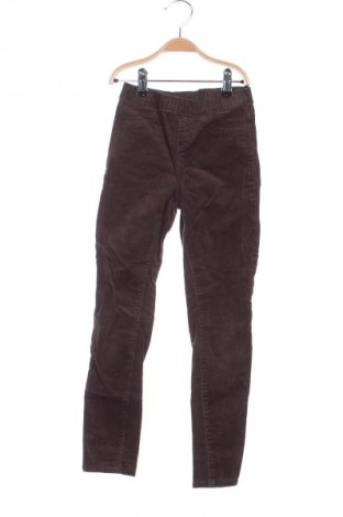 Pantaloni pentru copii H&M, Mărime 6-7y/ 122-128 cm, Culoare Maro, Preț 35,99 Lei