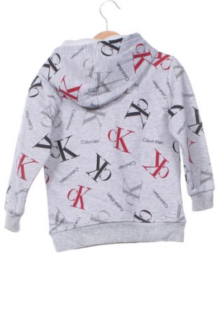 Παιδικό φούτερ Calvin Klein Jeans, Μέγεθος 4-5y/ 110-116 εκ., Χρώμα Γκρί, Τιμή 54,99 €