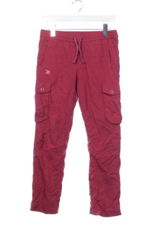 Pantaloni de trening, pentru copii Salewa, Mărime 10-11y/ 146-152 cm, Culoare Roșu, Preț 190,99 Lei