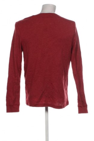 Herren Shirt American Rag, Größe L, Farbe Rot, Preis € 13,49