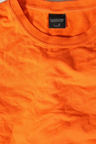 Herren Shirt Colourful Rebel, Größe S, Farbe Orange, Preis 9,99 €