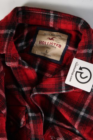 Herrenhemd Hollister, Größe L, Farbe Mehrfarbig, Preis € 23,99