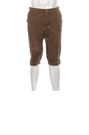 Herren Cordhose, Größe L, Farbe Beige, Preis 27,49 €