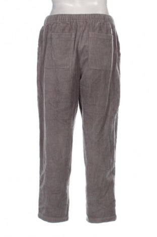 Herren Cordhose FSBN, Größe M, Farbe Grau, Preis € 13,99