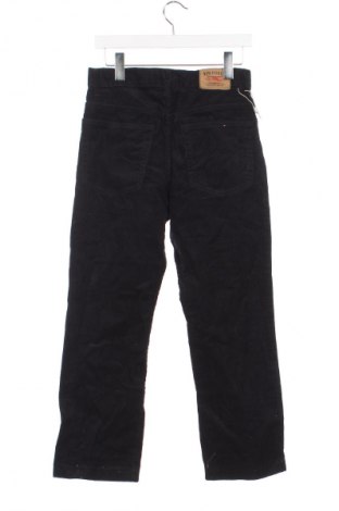 Herren Cordhose PJ JEANS, Größe M, Farbe Blau, Preis € 10,49