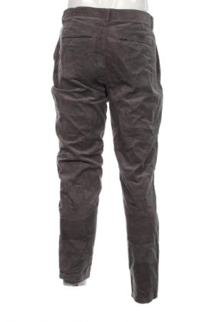 Herren Cordhose Springfield, Größe S, Farbe Grau, Preis € 5,99