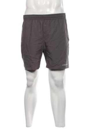 Herren Shorts Head, Größe M, Farbe Grau, Preis € 30,99