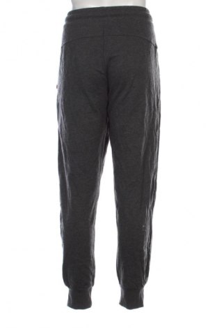 Herrenhose Crane, Größe XL, Farbe Grau, Preis € 27,49