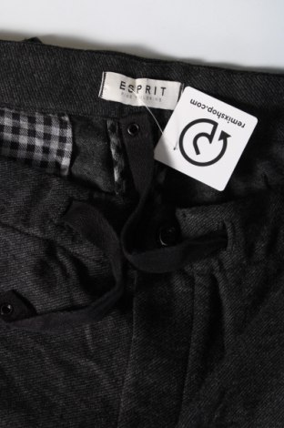 Herrenhose Esprit, Größe XL, Farbe Grau, Preis € 33,99