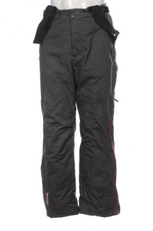 Pantaloni bărbătești pentru sporturi de iarnă Snowgear by TCM, Mărime S, Culoare Gri, Preț 417,99 Lei