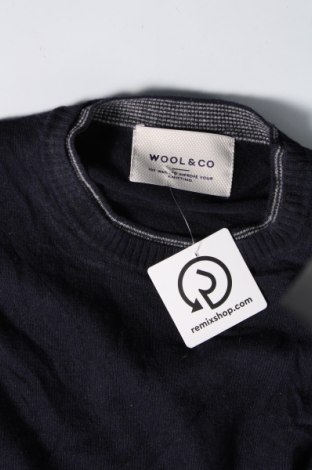 Pánský svetr  Wool & Co, Velikost M, Barva Modrá, Cena  989,00 Kč