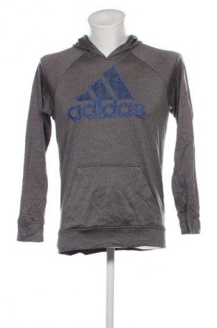 Ανδρικό φούτερ Adidas, Μέγεθος S, Χρώμα Γκρί, Τιμή 34,49 €