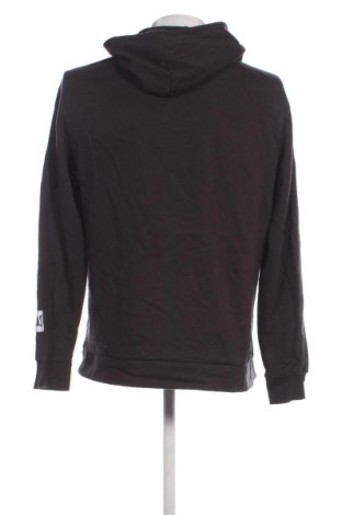 Herren Sweatshirt Everlast, Größe L, Farbe Grau, Preis € 28,99