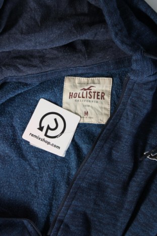 Herren Sweatshirt Hollister, Größe M, Farbe Mehrfarbig, Preis € 21,99