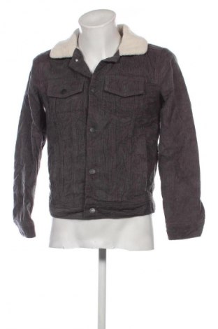 Herrenmantel Hollister, Größe XS, Farbe Grau, Preis € 95,99