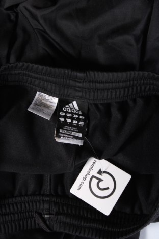 Pantaloni trening de bărbați Adidas, Mărime L, Culoare Negru, Preț 142,99 Lei