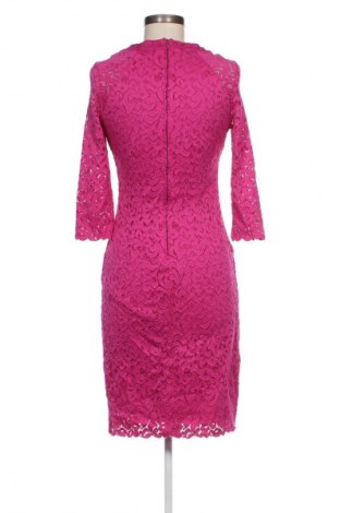 Kleid Orsay, Größe M, Farbe Lila, Preis 14,83 €