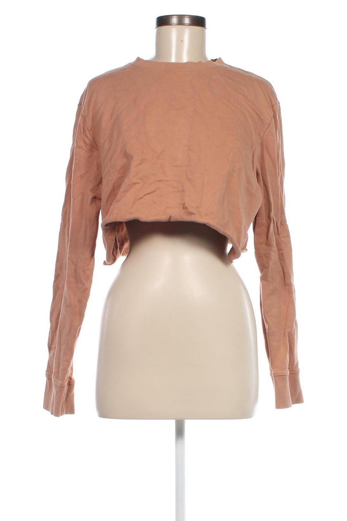 Damen Shirt H&M, Größe L, Farbe Braun, Preis € 6,49