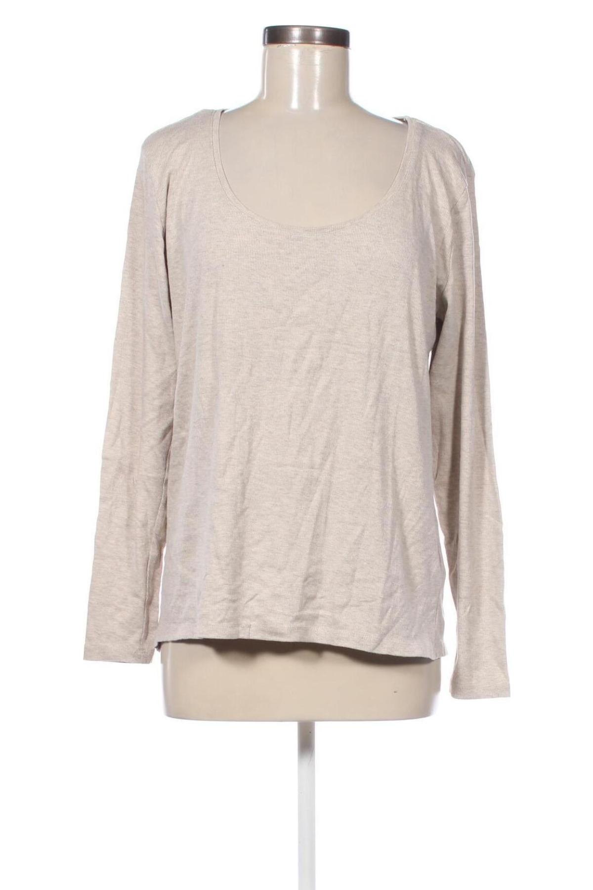 Damen Shirt H&M, Größe XXL, Farbe Beige, Preis 9,99 €