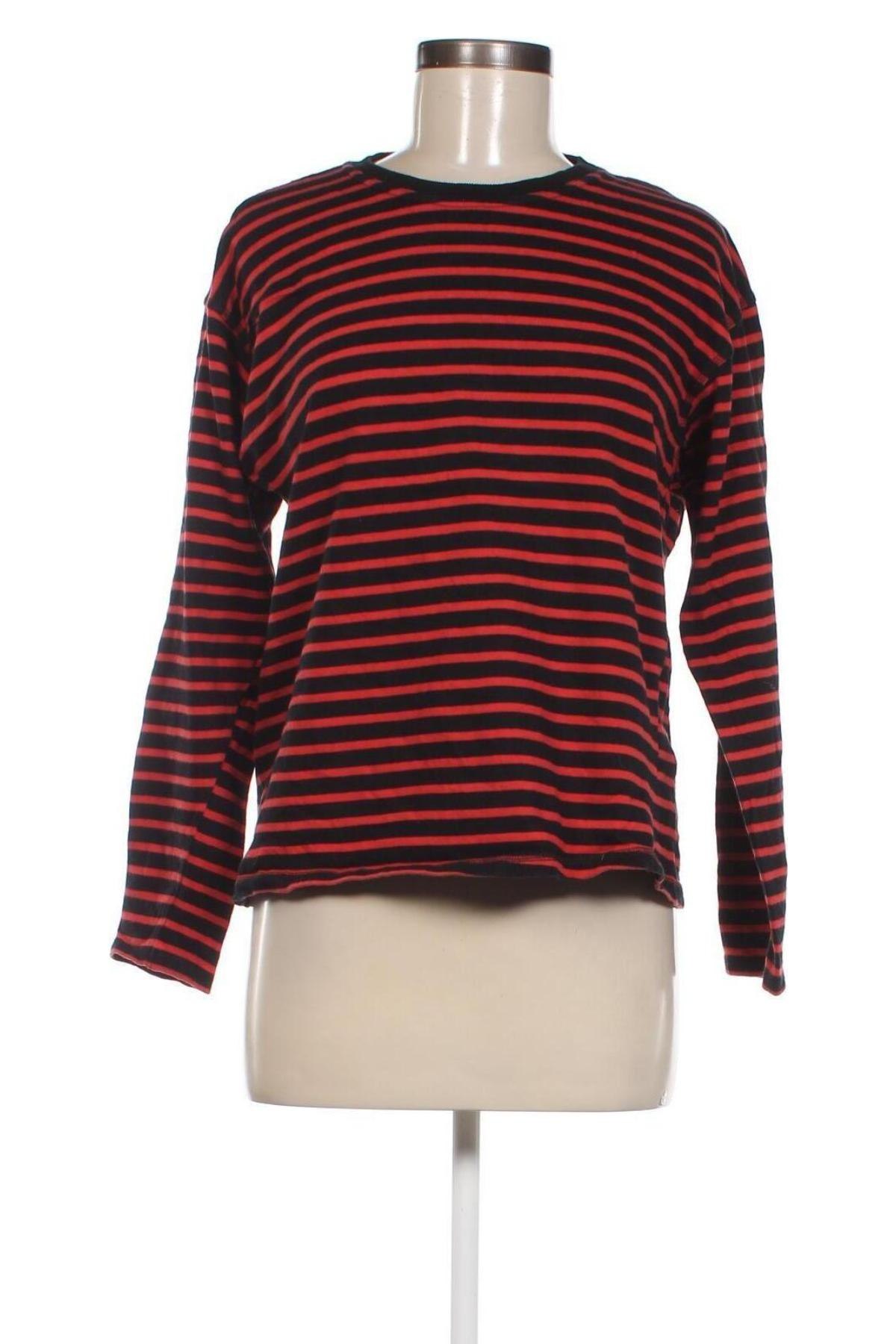 Damen Shirt Zara, Größe M, Farbe Mehrfarbig, Preis € 8,99