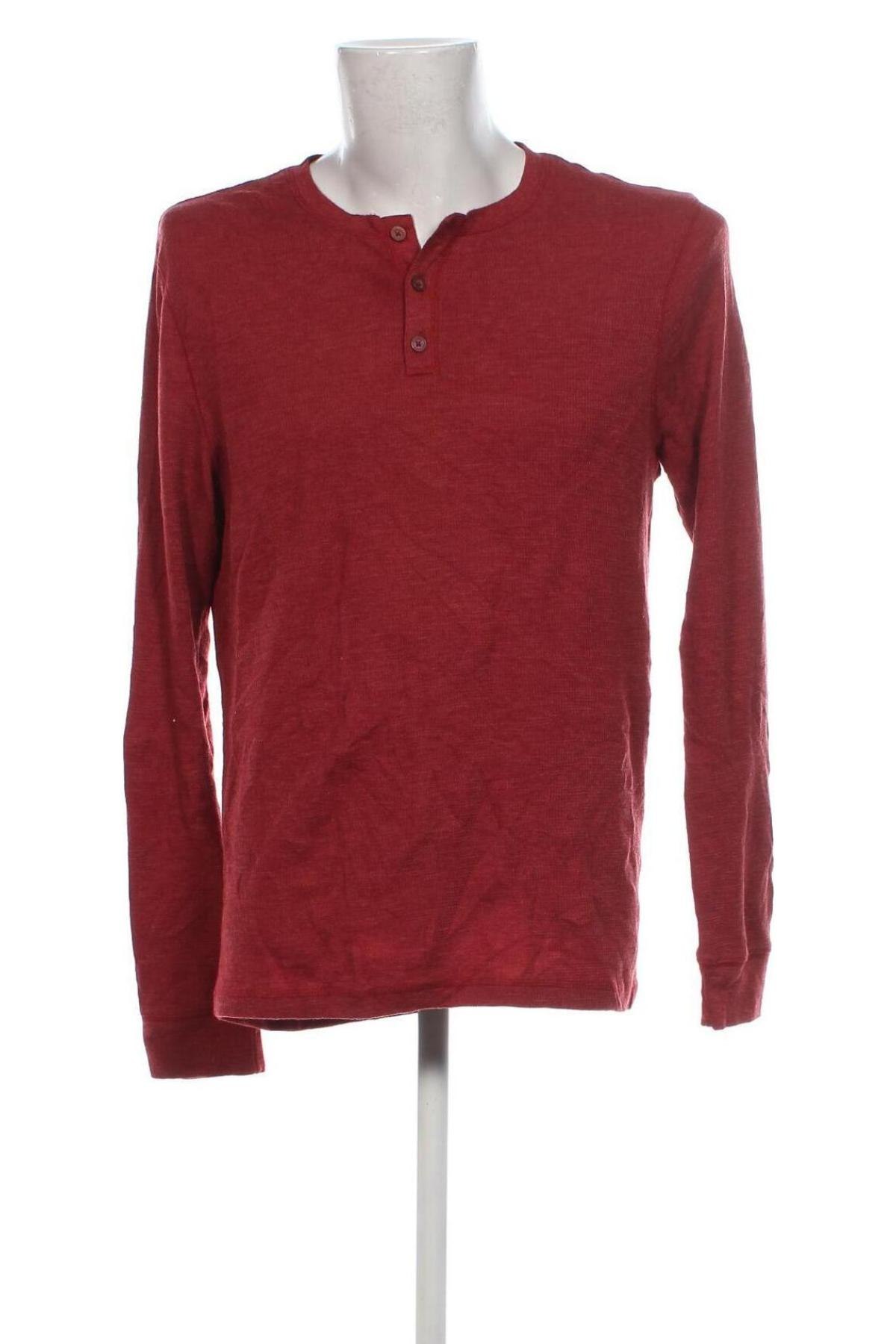 Herren Shirt American Rag, Größe L, Farbe Rot, Preis € 13,49