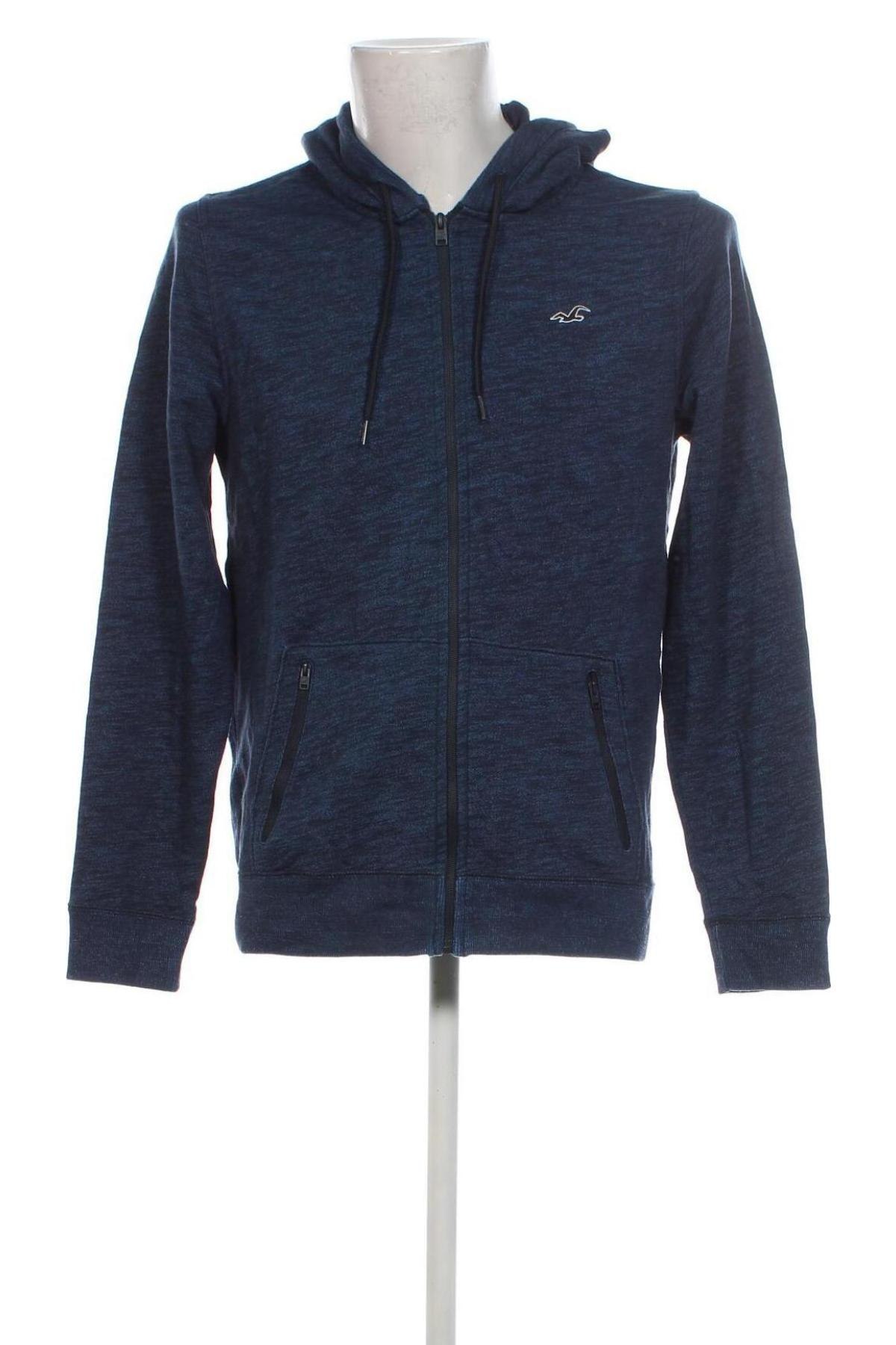 Herren Sweatshirt Hollister, Größe M, Farbe Mehrfarbig, Preis € 21,99