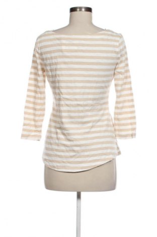 Damen Shirt Banana Republic, Größe M, Farbe Mehrfarbig, Preis 24,55 €