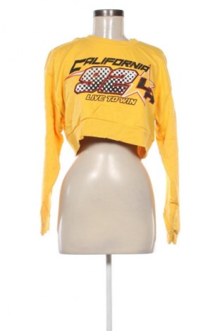 Damen Shirt Bershka, Größe XS, Farbe Mehrfarbig, Preis 6,99 €