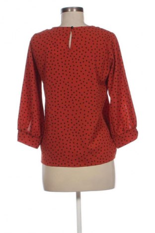 Damen Shirt Boohoo, Größe XS, Farbe Mehrfarbig, Preis 9,72 €