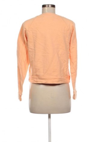 Damen Shirt Calvin Klein Jeans, Größe S, Farbe Orange, Preis 38,99 €