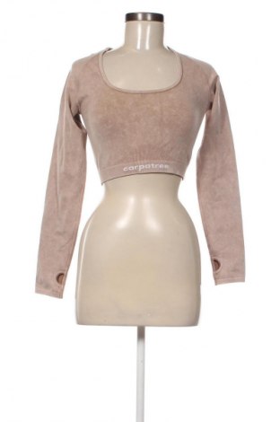 Bluzka damska Carpatree, Rozmiar M, Kolor Beżowy, Cena 143,00 zł