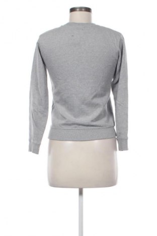 Damen Shirt DC Shoes, Größe M, Farbe Grau, Preis 14,99 €