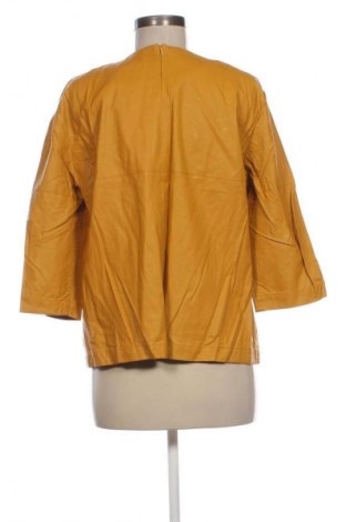 Γυναικεία μπλούζα Danini, Μέγεθος XXL, Χρώμα Πορτοκαλί, Τιμή 15,86 €