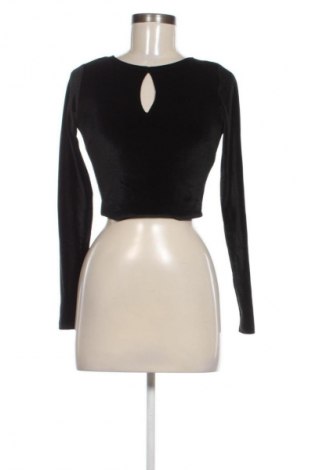 Damen Shirt Hollister, Größe S, Farbe Schwarz, Preis € 8,99