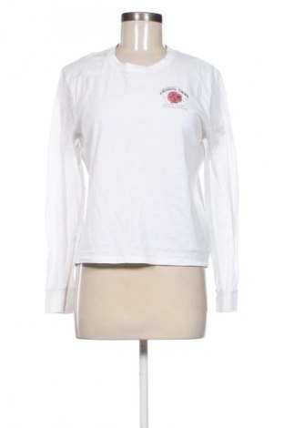 Damen Shirt Hollister, Größe XS, Farbe Weiß, Preis 46,65 €