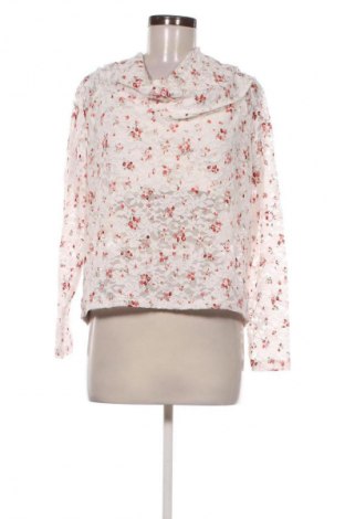 Damen Shirt Hollister, Größe XXL, Farbe Mehrfarbig, Preis 51,99 €