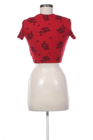 Γυναικεία μπλούζα House, Μέγεθος XS, Χρώμα Πολύχρωμο, Τιμή 9,72 €