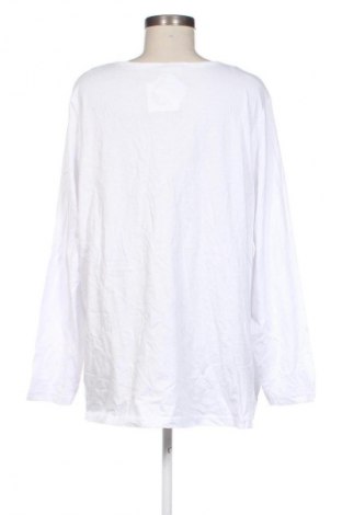 Γυναικεία μπλούζα Janina, Μέγεθος XXL, Χρώμα Λευκό, Τιμή 12,99 €