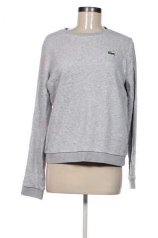 Γυναικεία μπλούζα Lacoste, Μέγεθος M, Χρώμα Γκρί, Τιμή 41,99 €