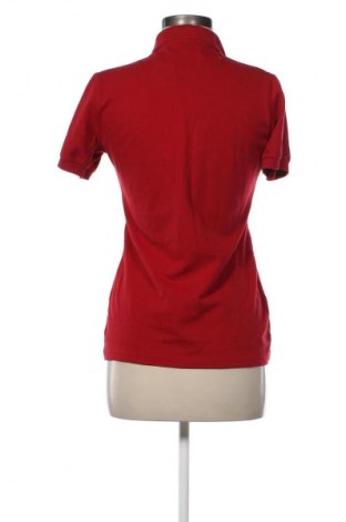 Damen Shirt Lacoste, Größe L, Farbe Rot, Preis 40,82 €