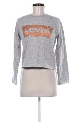 Damen Shirt Levi's, Größe XS, Farbe Grau, Preis 24,48 €