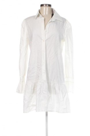 Damen Shirt MOST WANTED, Größe M, Farbe Weiß, Preis € 17,99