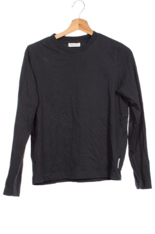 Γυναικεία μπλούζα Marc O'Polo, Μέγεθος XS, Χρώμα Γκρί, Τιμή 50,99 €