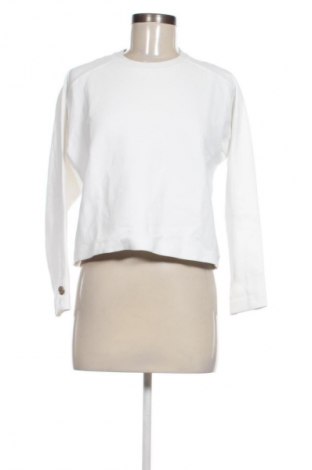 Damen Shirt Massimo Dutti, Größe XS, Farbe Weiß, Preis € 22,99