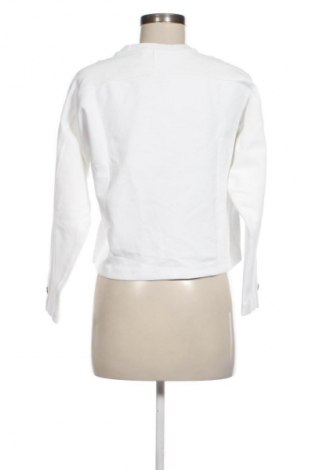 Damen Shirt Massimo Dutti, Größe XS, Farbe Weiß, Preis € 22,99