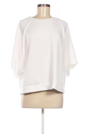 Damen Shirt NEW COLLECTION, Größe M, Farbe Weiß, Preis € 41,99